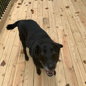 Meet your Posher, Maddie